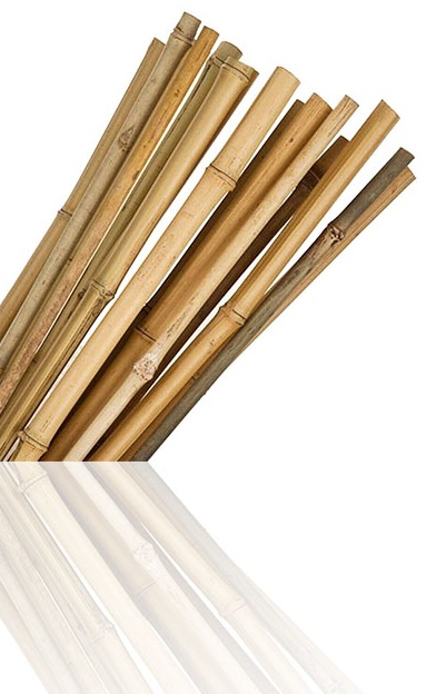 6ft Pack Of 20 Large Thick Bamboo Canes